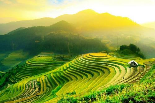 Arrozales Mu Can Chai