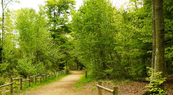 Parque Natural en Reims