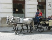 Vuelos baratos a Viena Vuelos baratos a Viena
