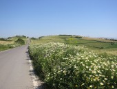 Campo Espana, Jerez de la Frontera