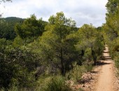 Vuelos baratos a Murcia Vuelos baratos a Murcia