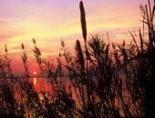 Valencia, Puesta, En, Albufera, Valencia Valencia, Puesta, En, Albufera