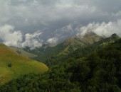 Monte, Oveja Monte, Oveja