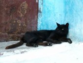 Vuelos baratos Casablanca Vuelos baratos Casablanca
