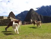 Peru, Machu Pucchu