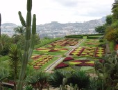 Vuelos baratos a Funchal Vuelos baratos a Funchal