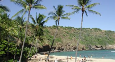 Descubre el escenario de Perdidos en Hawái