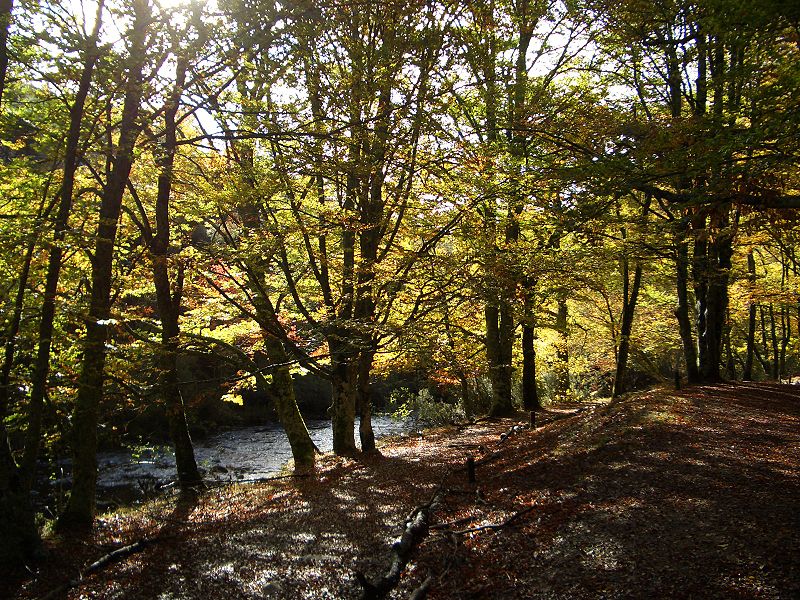 Sierra del Rincón, en Madrid