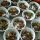 Gastronomía Indonesia - Soto Padang