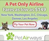 Pet Airways: una aerolínea pensada para animales