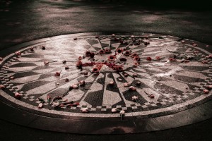 Strawberry Fields Strawberry Fields