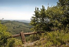 Hungría, en la presidencia de la UE: descubre el país. Hungría oriental (3/3)