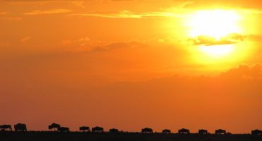 Kenia Mágica lanza la nueva Guía
