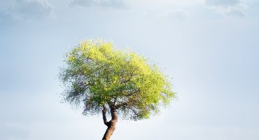 Ecoturismo: un nuevo mundo