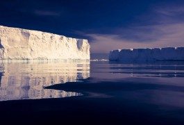 Querida naturaleza, ¿tu también te estás volviendo loca?