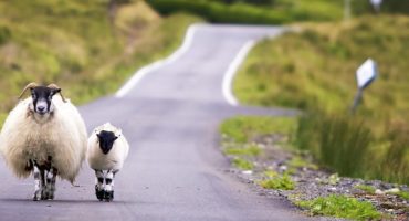 Qué ver y hacer en Escocia