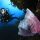 Descubriendo el mundo submarino: Dive Travel Show, segunda inmersión