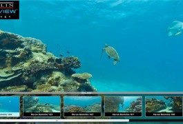 Google, los tentáculos del gigante se sumergen bajo el agua
