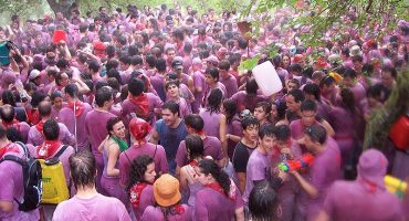 La batalla del vino en la Rioja