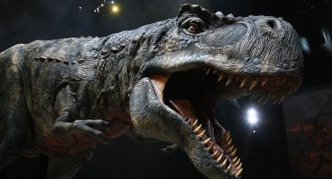 Los dinosaurios vuelven a caminar por Europa