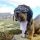 Oscar: la vida de perros de un trotamundos a cuatro patas