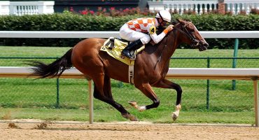 Los mejores jinetes corren en las carreras de caballos de Dubái