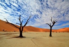 Dejando escapar la imaginación con fotografías de paisajes surrealistas
