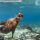 Islas Galapagos