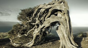 VÍDEO – 7 historias en Canarias (Parte 1)