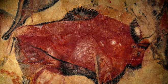 bisonte