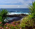 playa jardin puerto cruz 120x100