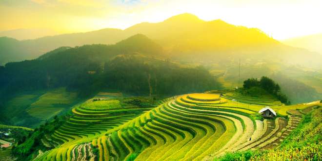Vietnam