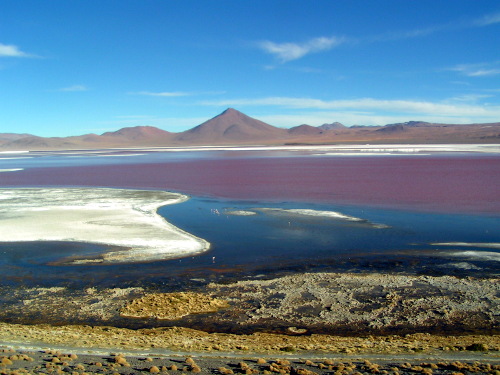 Bolivia