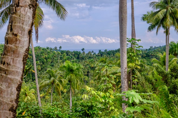 Parque Natural Alejandro de Humboldt (Cuba)