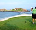 golf 120x100