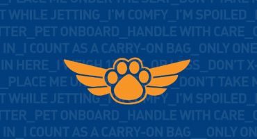 JetPaws: ¡volar con mascotas con jetBlue!