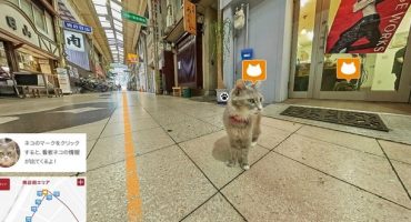 A vista de gato con el “Cat Street View”