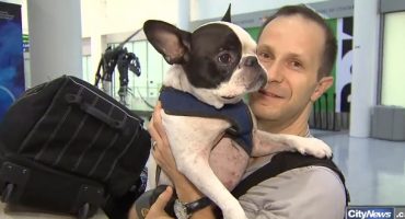 Aterrizaje de emergencia para salvar un perrito