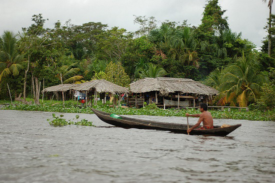 Amazonas