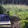 portatil en un bosque