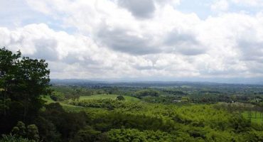 6 claves para conocer el “Eje Cafetero” de Colombia