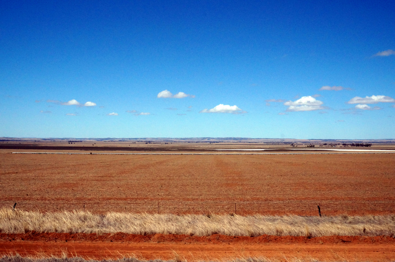 Ghan (Australia)