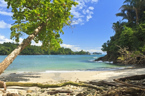 Una de las paradisiacas playas de Costa Rica