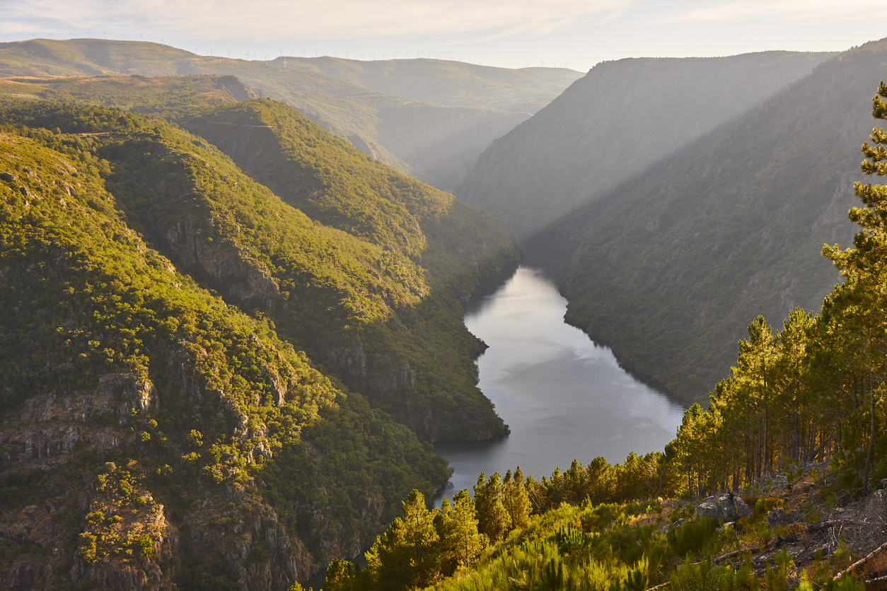 Paisaje de la Ribeira Sacra