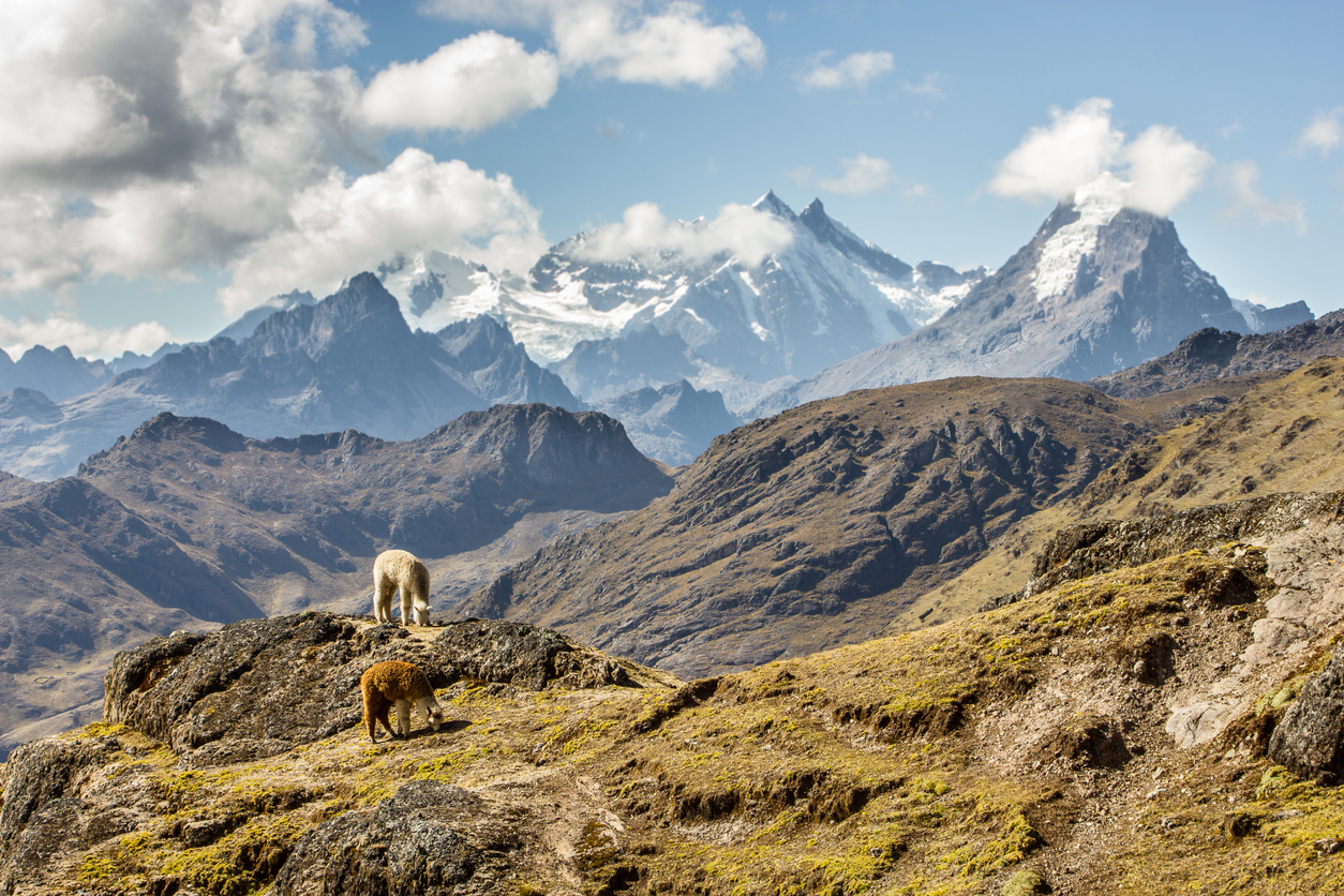 Andes peruanos