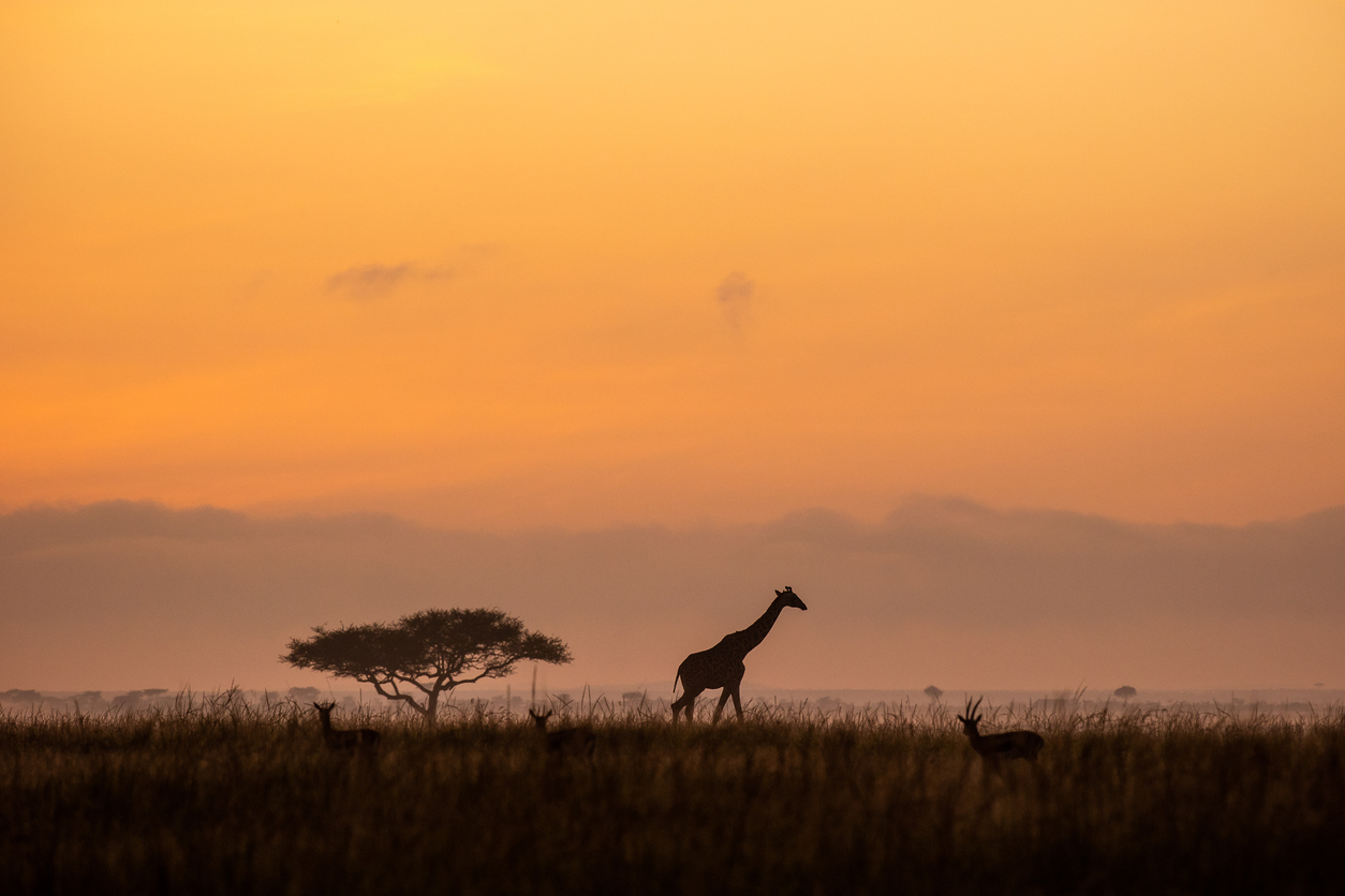 Amanecer en Kenia