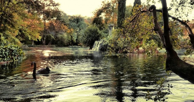 Parque de El Capricho