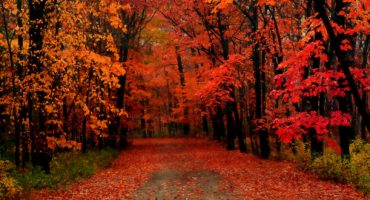 10 viajes coloridos para el otoño