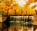 Otoño en Austria_Portada 120x100