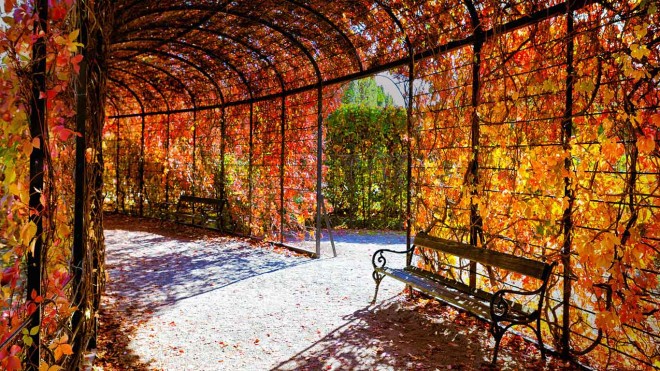 Paseando por los jardines de Schonbrunn